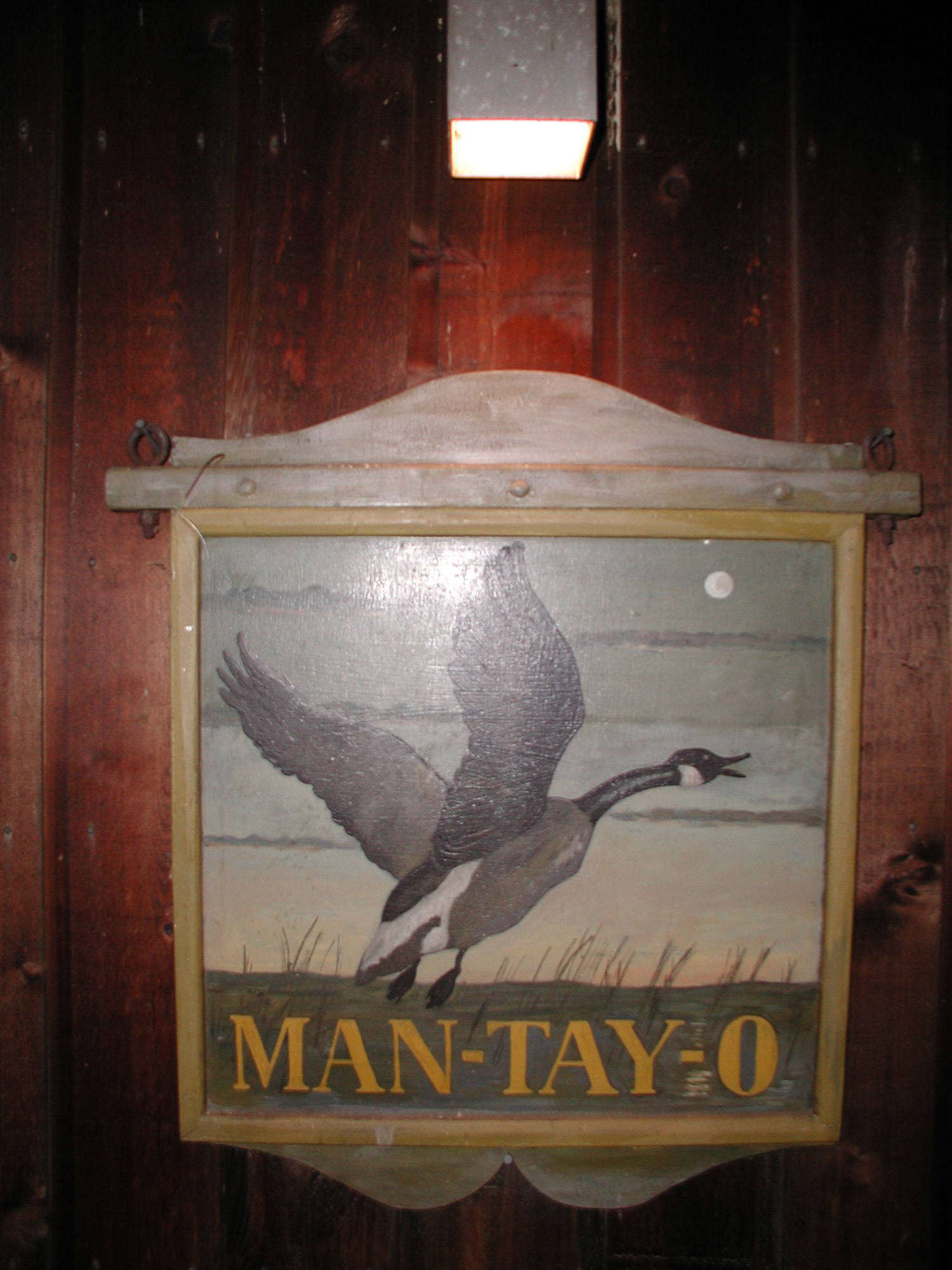 Mto (151)